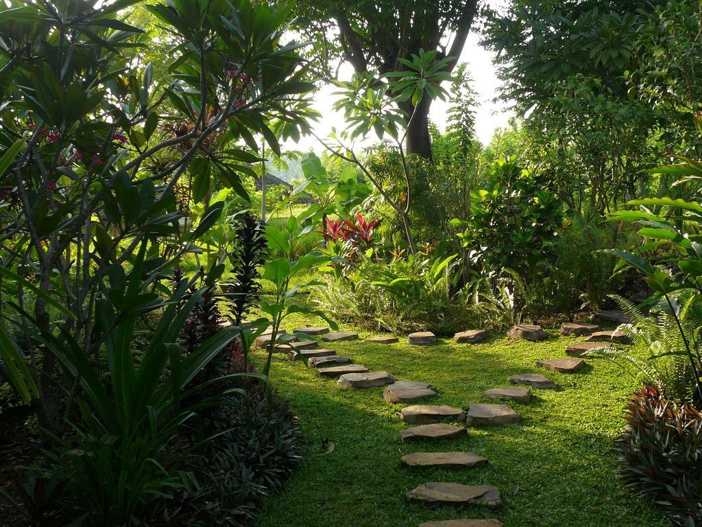 Sananda Bungalow Lovina  Exterior photo